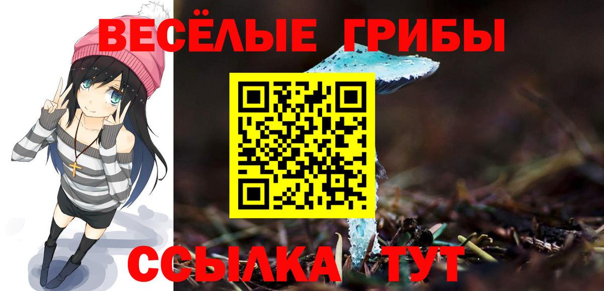 Галлюциногенные грибы прущие грибы Красногорск